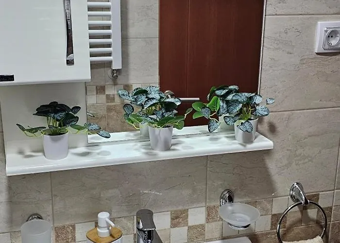 Panorama 2 アパート Požarevac